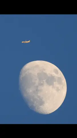 That was so close 🤏 #aviation #airplane #fyp #plane #viral 