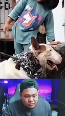 adek jangan gitu.... 