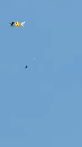 #fouryou🥷🕊️🕊️🕊️🥷☠️🥀🥀😃😃😃🕊️🥷 Tik Tok ,🦅🦅🦅🕊️🕊️