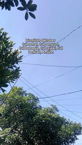 #CapCut #banktitil #plecitnkri #banksetan #kediri24jam 