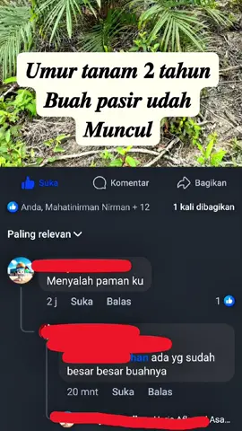 #CapCut 