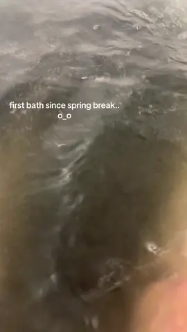 #shower #hygieneproducts #hygienetips #fentysuperbrandday #LanguageLearning  ok it just bath shimmer..