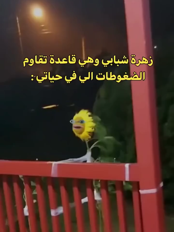 😭😭😂