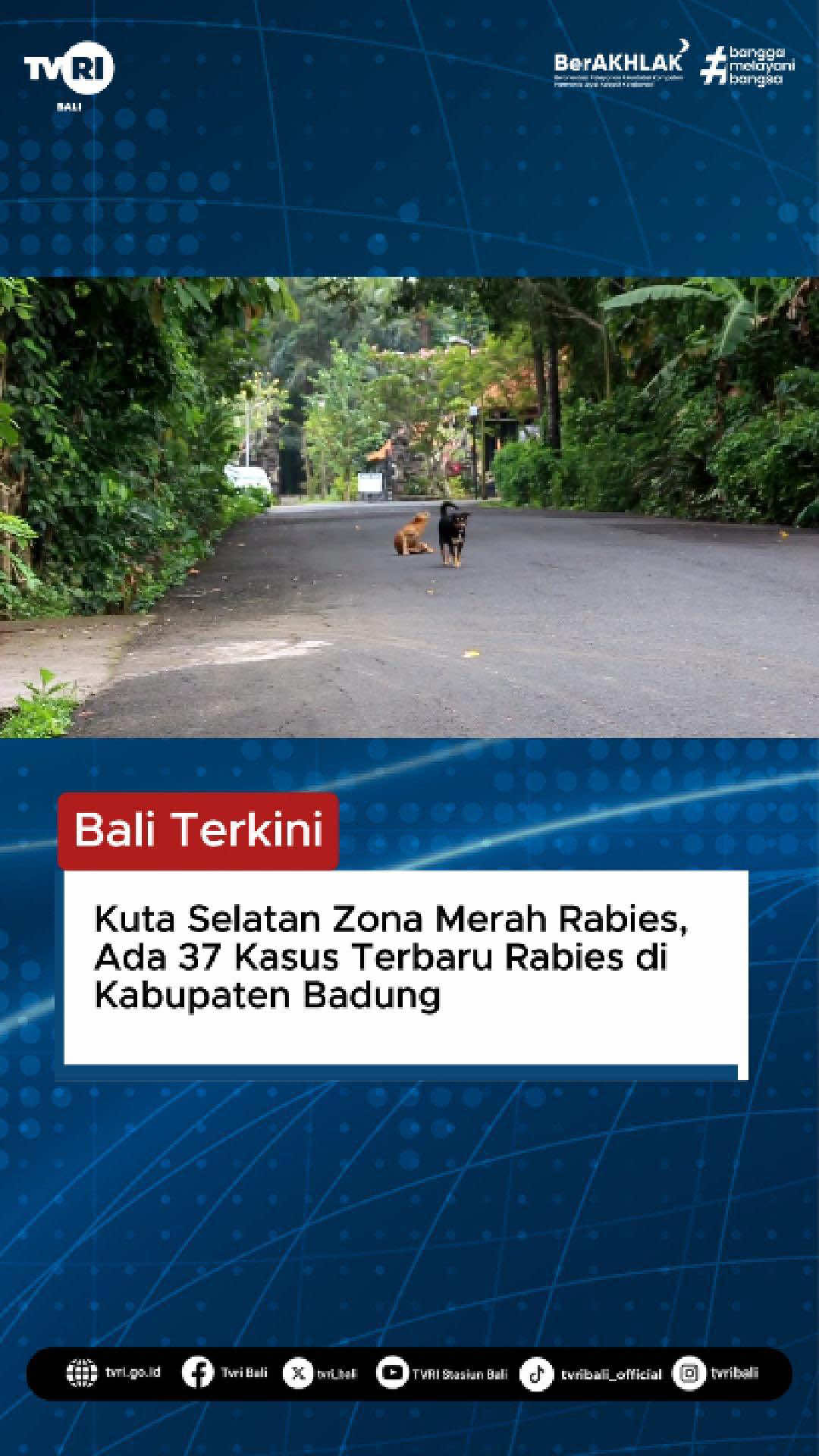 Kasus rabies di Kabupaten Badung terus meningkat dan menjadikan Kuta Selatan sebagai zona merah penyebaran rabies. Hingga pertengahan tahun 2025, tercatat 37 kasus anjing positif rabies, sementara pada tahun 2024 ada 41 kasus. Kondisi ini membuat masyarakat diminta lebih waspada. Dinas Peternakan Badung mengungkapkan bahwa perilaku melepasliarkan anjing menjadi salah satu pemicu utama merebaknya rabies. Saat ini populasi anjing di Badung diperkirakan mencapai 95 ribu ekor, dengan sekitar 80 persen sudah divaksin. Namun, masih ada 12 desa yang belum tercakup vaksinasi rabies dari total 62 desa yang ditargetkan. Plt. Kabid Kesehatan Hewan Dinas Peternakan Badung, Anak Agung Istri Brahmiwitari, Senin, (30/9) siang menyatakan, kebiasaan melepasliarkan anjing diduga kuat memperbesar potensi penularan rabies. Untuk itu, pihaknya mengimbau warga agar rutin memvaksin hewan peliharaan dan tidak melepasliarkan anjing. Pemerintah terus mengerahkan 20 tim vaksinator secara door to door di banjar-banjar, dan memastikan stok vaksin dalam kondisi aman, yaitu sebanyak 100 ribu dosis. Mari lindungi keluarga dan lingkungan kita dengan tidak melepasliarkan anjing serta rutin melakukan vaksinasi hewan peliharaan. #TVRIBali #Rabies #KutaSelatan #Badung #BeritaBali   