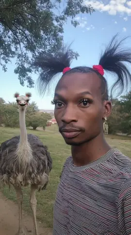 え、まさかね…？💄 #ai動画 #ostrich #animal 