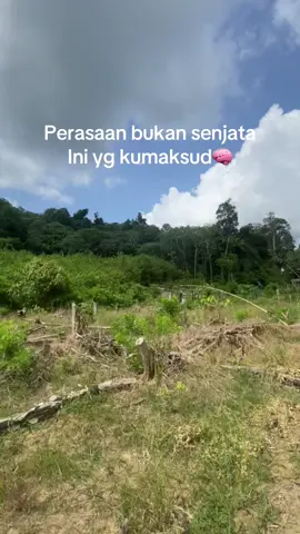 Malah nyasar di kebun #kebunsawit #viraltiktok #fyp