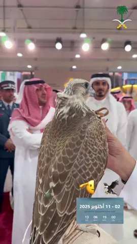 هذا الصقر الحقيقي ماهو ترندات وذكاء اصطناعي #معرض_الصقور_والصيد_السعودي_الدولي #عبدالعزيز_بن_سعود_بن_نايف #وزير_الداخلية #السعودية 