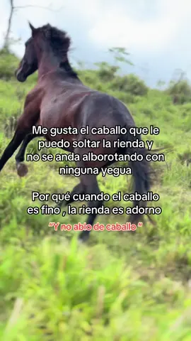 #paratiiiiiiiiiiiiiiiiiiiiiiiiiiiiiii #fyp#🙂↔️🐎caballos #rienda#viral #
