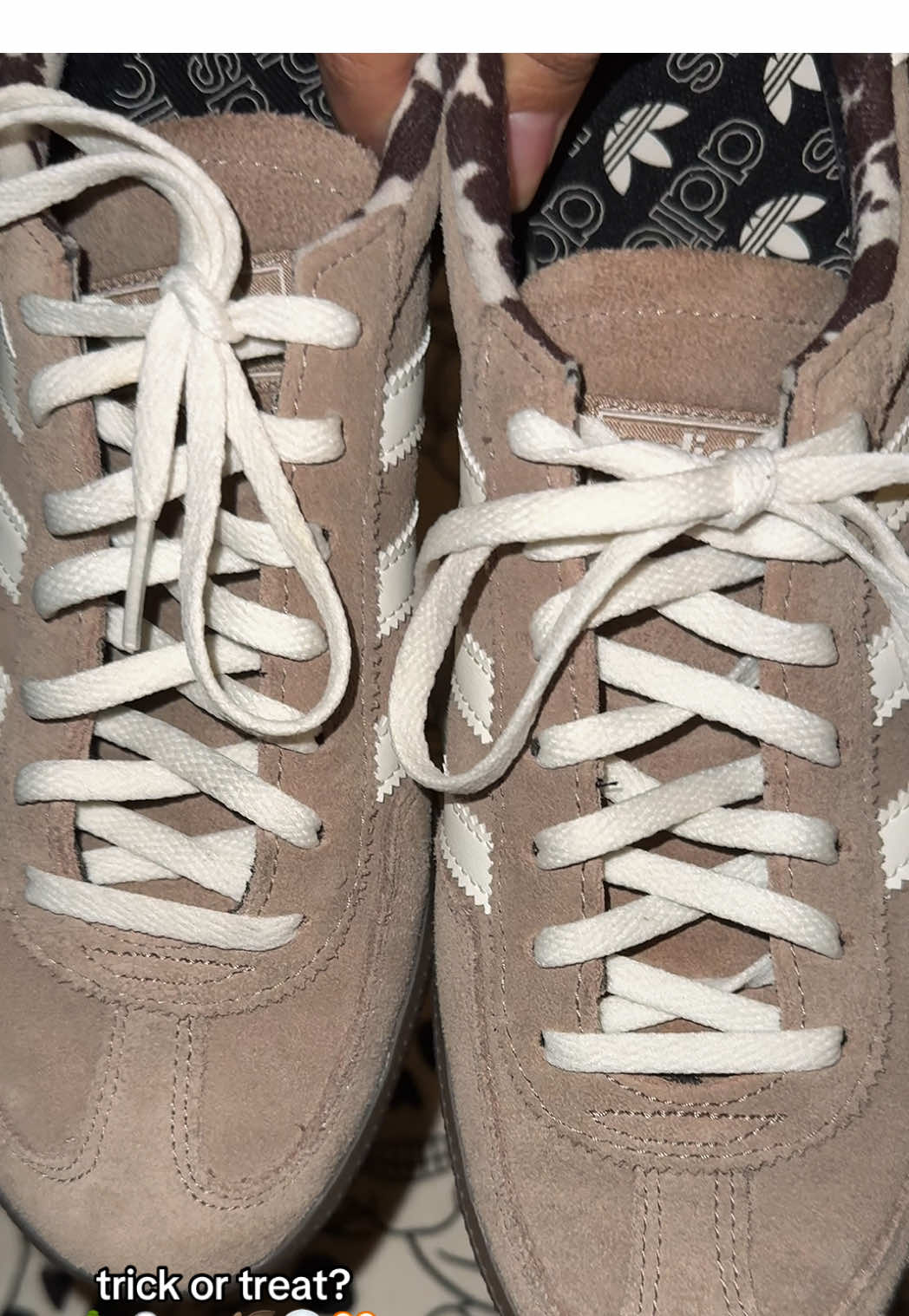 definitely a TREAT with these kicks @Fly Kicks #adidashandballspezial #ohcomeonitsjustabunchofhocuspocus #fallsneakers #adidasspezial #flykicksonly 