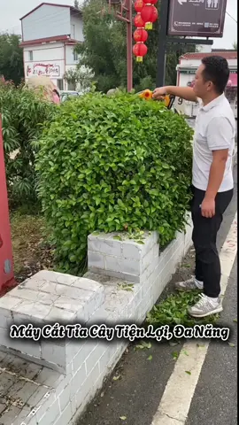 máy cắt tỉa cây tiện lợi. #maycattiacay #xuhuong #giadungtienich 