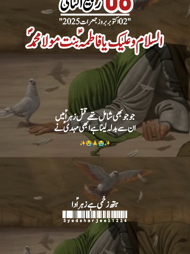 #العجل_يامولاي_يبن_الحسن #pleaseunderriviewmyvedio #yaabasss #tiktokshop #asslamualaikum 