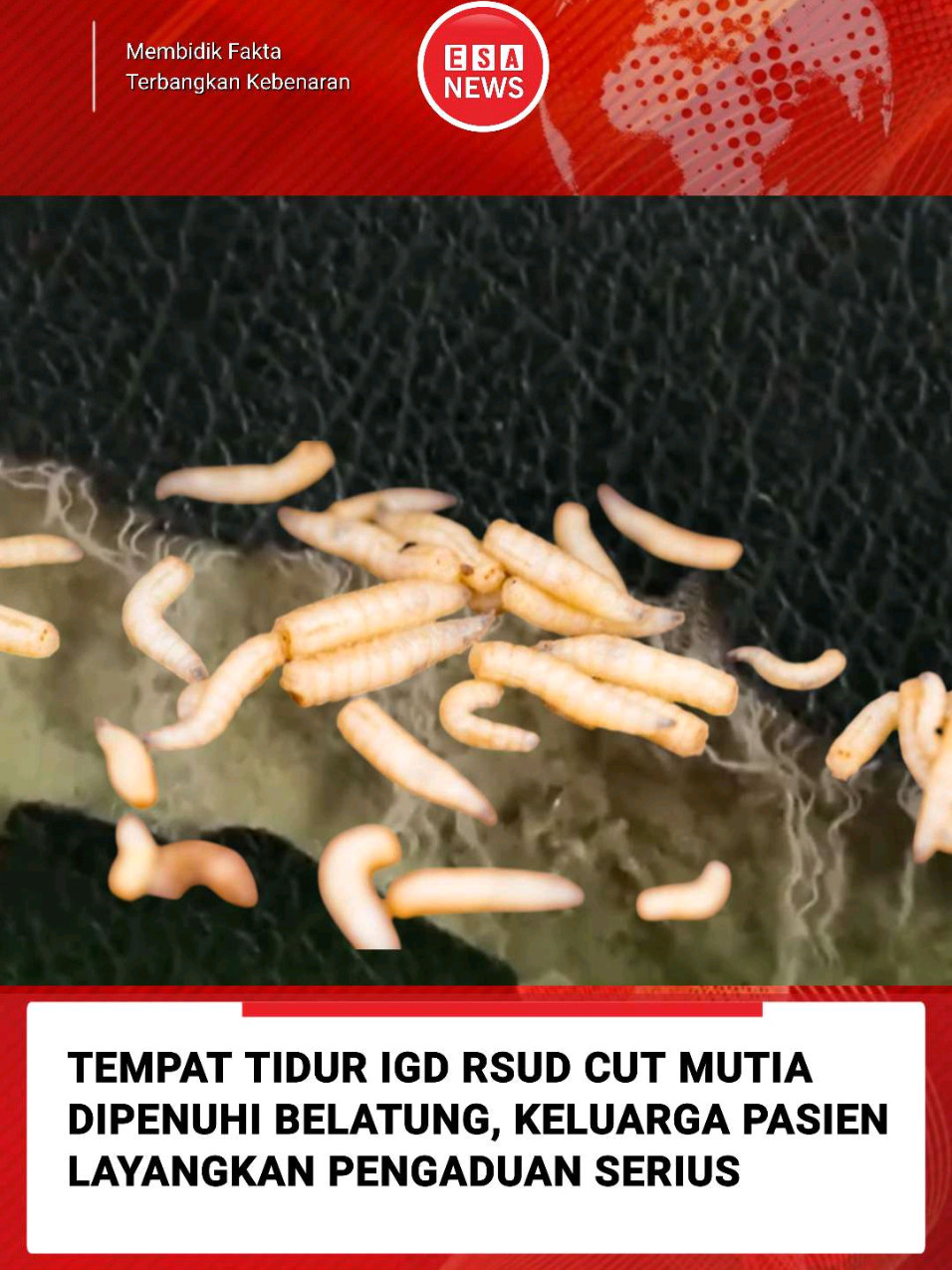 Aceh Utara – Pengaduan serius dilayangkan keluarga pasien terhadap pelayanan RSUD Cut Mutia, Aceh Utara. Keluarga menuding rumah sakit tersebut memberikan pelayanan yang tidak layak dan tidak manusiawi, setelah menemukan tempat tidur pasien di Instalasi Gawat Darurat (IGD) dalam kondisi kotor dan dipenuhi belatung. Kasus ini bermula ketika seorang pasien bernama Annisa, peserta BPJS Kesehatan, dirawat di IGD RSUD Cut Mutia pada Senin (29/9/2025). Alih-alih mendapatkan kenyamanan, keluarga justru menemukan kenyataan yang mengejutkan. “Kondisi fasilitas sangat buruk. Tempat tidur penuh belatung dan tanpa sprei. Kami sudah meminta solusi, tetapi pihak rumah sakit tidak memberikan tindakan yang memadai,” ungkap pihak keluarga dalam pengaduan resminya. Menurut keluarga, kondisi tempat tidur pasien yang seharusnya steril justru menunjukkan kelalaian dalam menjaga kebersihan dan standar pelayanan medis. Peristiwa ini memicu kemarahan keluarga dan masyarakat sekitar yang menilai pihak rumah sakit tidak menghargai hak pasien atas pelayanan kesehatan yang layak. Hingga berita ini diturunkan, pihak manajemen RSUD Cut Mutia belum memberikan keterangan resmi terkait pengaduan tersebut. Masyarakat berharap pemerintah daerah dan Dinas Kesehatan segera turun tangan untuk mengusut dugaan kelalaian tersebut dan memastikan kejadian serupa tidak terulang kembali.  #esanews  EsaNews.id | Membidik Fakta, Terbangkan Kebenaran