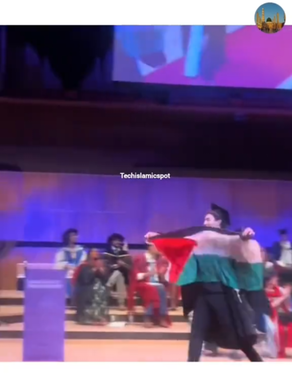 #FreePalestine #tiktoknews #fypシ゚ #followme #tiktok 