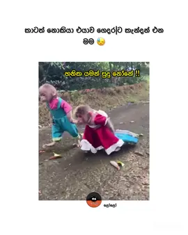 😂 | #follow #mention #goviral #fyp #LoLo_ලෝලෝ 