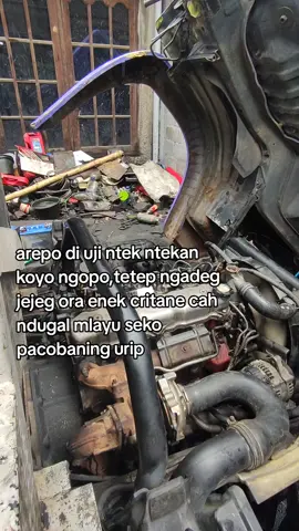 anak kuat jare @ardiindehoy #fyp #berandatiktok #fyppppppppppppppppppppppp #dutromania 