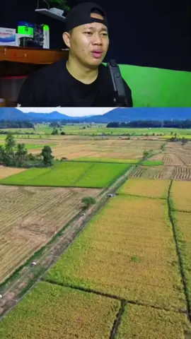 keren para ojeg gabah ini seperti di sircuit 👏👏 #fyp 