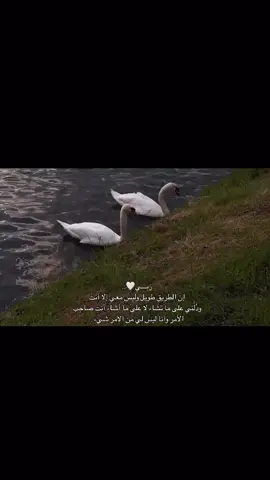إقلب المَوازين لإجلي هذهِ المَره يــا رَب #استوريات_انستا_واتساب #موسيقى #ادعية_اسلامية_تريح_القلب #مشاهدات100k🔥 #اقتباسات_عبارات_خواطر🖤🦋❤️ 