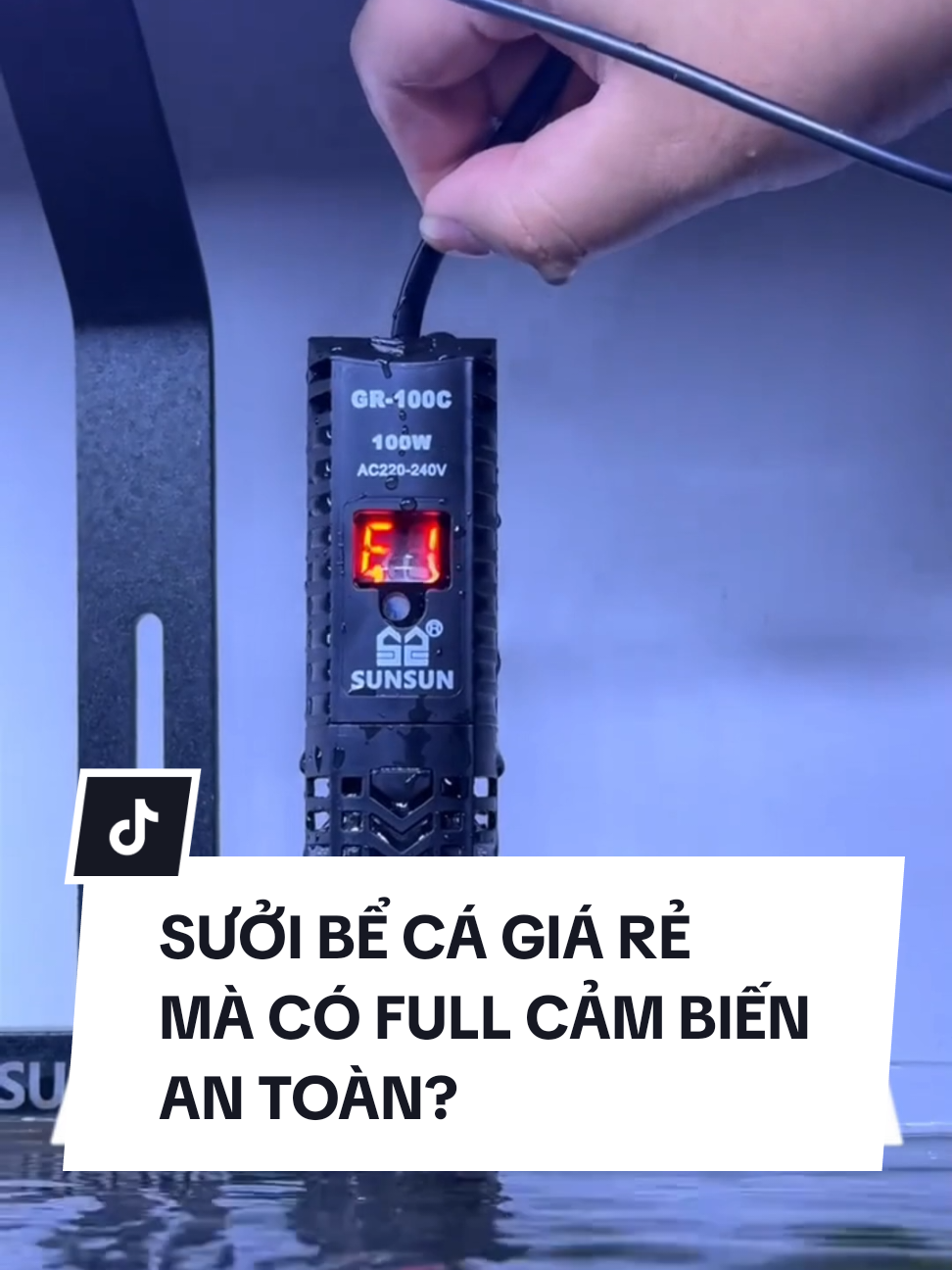 Sưởi bể cá có cảm biến an toàn, làm nóng nhanh, tiết kiệm điện hơn. #cacanh77 #sưởi hồ cá 500w #sưởi cho bể mini #hồcá #xh 