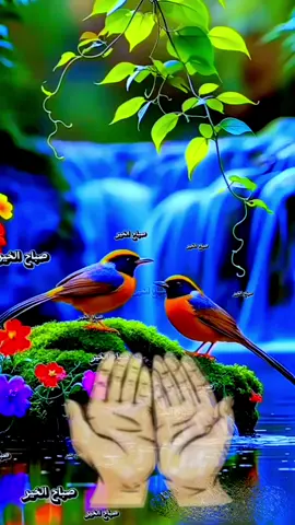صباح الخير والسعادة  #صباح #صباحكم #صباح_الخير #صباح_الورد #الأربعاء 