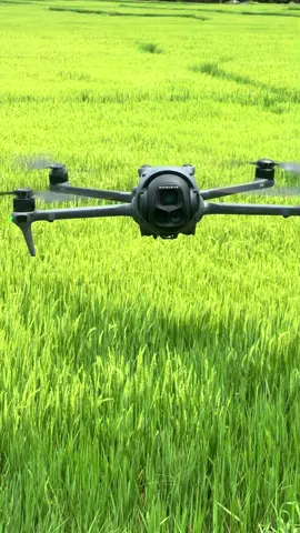 Hú hồn😮‍💨Đang bay hết pin tự RTH tí thì lao vào dây điện ngay bên trên🙂🙂🙂#shophay #flycambienhoa #dji #djimini5pro 