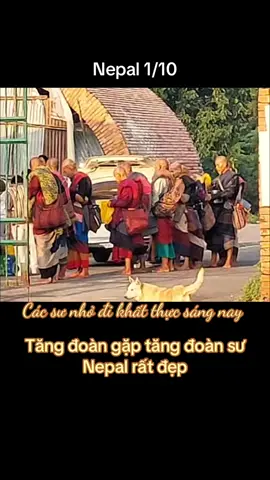 A DI ĐÀ PHẬT. 