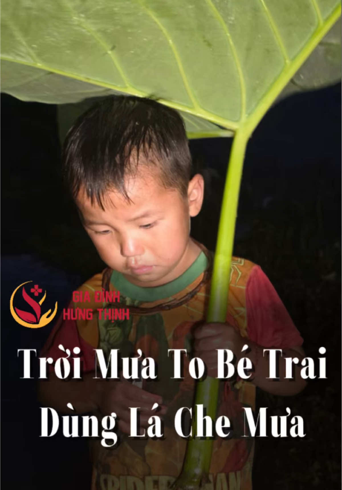 Trời Mưa To Bé Trai Dùng Lá Che Mưa Đi Về Nhà  #giadinhhungthinh #caohohungthinh 