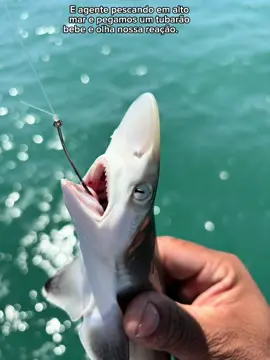 Pegamos um TUBARÃO 🦈 