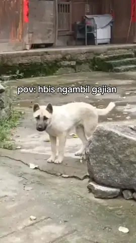 #CapCut 🤣🤣