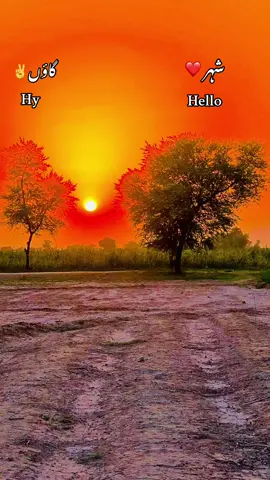#میرا_سوہنا_شہر_مروٹ🌱✌️ #dont_underview_my_video #foryou #foryoupage #fypシ゚viral #unfrezzmyaccount 