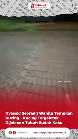 Seorang wanita membagikan momen pilu saat menemukan beberapa anak kucing yang sudah mati, bertebaran di tengah jalan. Kucing-kucing itu ditemukan ketika dirinya sedang lari dengan kondisi tubuh sudah kaku. Tak hanya sekali, beberapa hari kemudian, dirinya kembali menemukan kucing mati di malam hari dan tergeletak di jalanan. 