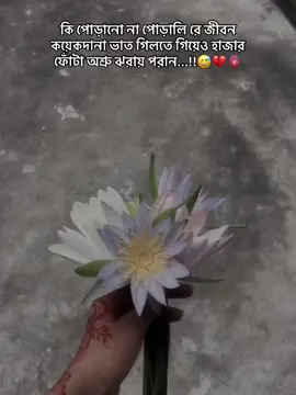 আবারও শাপলা😅❤️‍🩹 #viralvideo #foryoupage #viraltiktok #fyppppppppppppppppppppppp #😅😅😅😅😅😅😅 