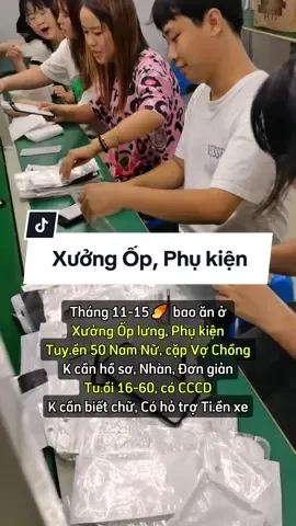 Xưởng Ốp lưng phụ kiện có TT Tuần cho ACE. #timvieclam #vieclamtot #timviec #timviectot #vieclam #vieclamluongcao #vieclamhanoi #vieclamthoivu #viectot #hanoi #tuyendung #tuyendunglaodong #tuyendungvieclam #laodongphothong 
