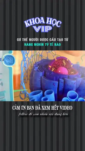 CƠ THỂ NGƯỜI ĐƯỢC CẤU TẠO TỪ HÀNG NGHÌN TỶ TẾ BÀO #khoahocvip #LearnOnTikTok #khampha #xhtiktok #xh 