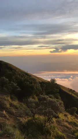 Merbabu 1 Oktober #fypシ #fyp #merbabumountain #sunrise 