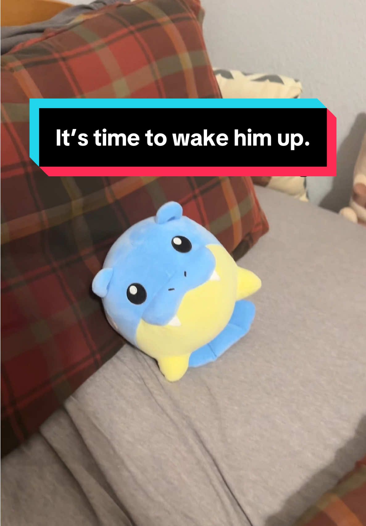 It’s time to wake him up. #pokemon #gaming #nintendo #spheal #wakemeupwhenseptemberends 