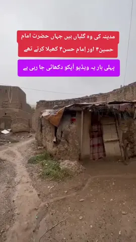 #مدینہ_منورہ🌿🌺💐🌹 