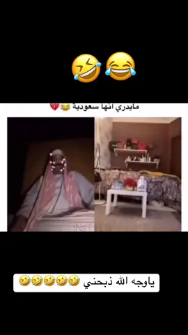 #اكسبلورexplore #ابوجركل_شمس 