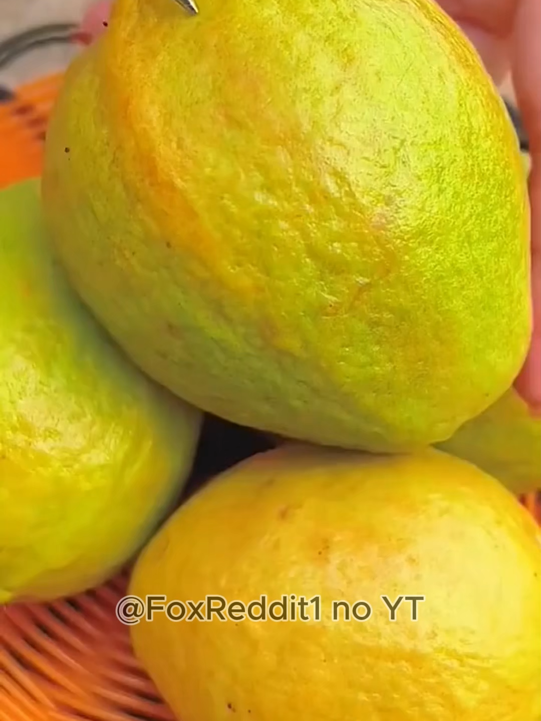 !ATENÇÃO! Assista a HISTÓRIA COMPLETA está no YT, procure por Fox Reddit Histórias. MEUS PAIS NOS EXCLUÍRAM MAS VOLTARAM QUANDO MINHAS FILHAS ENRIQUECERAM #redditbrasil #reddit #fyp