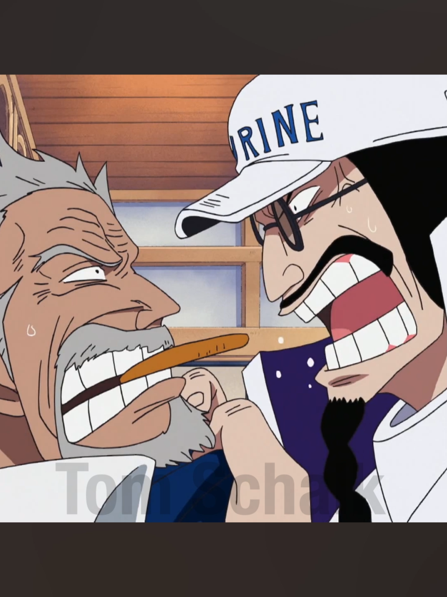 The Marines BAN TikTok?! #onepiece