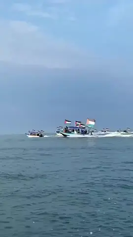 #pray #For #globalsumudflotilla #FREE #palestine🇵🇸