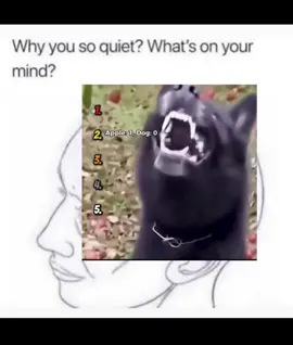 Dog funny moments😭🤣#fyp#fyppppppppppppppppppppppp#funny