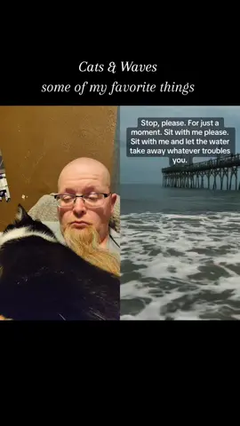 #duet with @Mrs. Burger #healing #ocean #cats #calm 