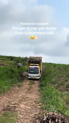 Tunjukan foto damaimu lur 😆#tebubalap #tebumalangselatan #petanimuda #trukmaniaindonesia #komunitastrukmalang 