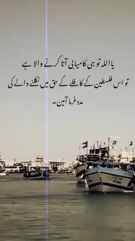 Halima Fatima turkey leyakirsan ozge torer #isel #shortvideo#viralvideo #turkey#500k 