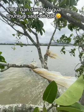 Khê lắm🥲#baobualoi #saubao #virallll #virallll #ngaplut 