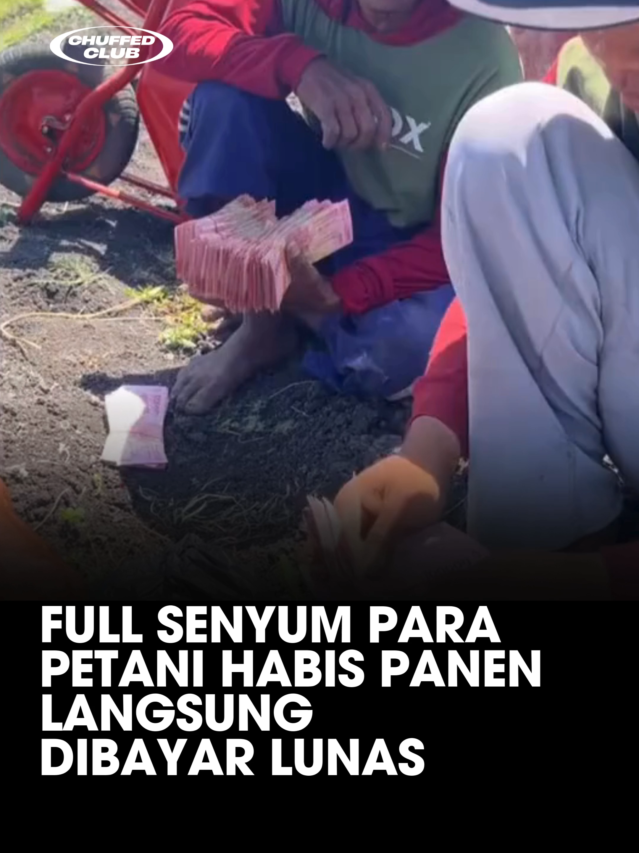 🌾 FULL SENYUM PARA PETANI HABIS PANEN LANGSUNG DIBAYAR LUNAS Bayangkan, setelah berbulan-bulan menanti hasil jerih payah bertani, para petani akhirnya bisa tersenyum lega. Tidak hanya karena panen melimpah, tetapi juga karena mereka dibayar lunas tepat waktu. Fenomena ini bukan hanya soal uang, tetapi juga soal keadilan dan keberpihakan pada petani. Di tengah tantangan harga jual yang fluktuatif dan biaya produksi yang terus naik, pembayaran tepat waktu menjadi penentu utama keberlanjutan usaha tani. Ketika petani dibayar lunas, mereka bisa menghindari jeratan utang, membeli bibit berkualitas, dan mempersiapkan musim tanam berikutnya dengan lebih baik. Namun, kenyataan di lapangan seringkali berbeda. Banyak petani yang harus menunggu berbulan-bulan bahkan hingga tahunan untuk menerima pembayaran. Hal ini tidak hanya merugikan secara finansial, tetapi juga menghambat roda perekonomian di pedesaan. Oleh karena itu, penting bagi kita untuk mendukung sistem yang memastikan pembayaran tepat waktu bagi petani. Ini bukan hanya soal uang, tetapi soal menghargai kerja keras mereka dan memastikan ketahanan pangan negara. #PetaniSejahtera #BayarLunasPetani #KetahananPangan #PertanianIndonesia #DukungPetani