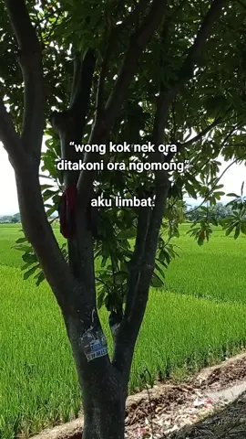 #fyp #masyaallahtabarakkallah #introvert 