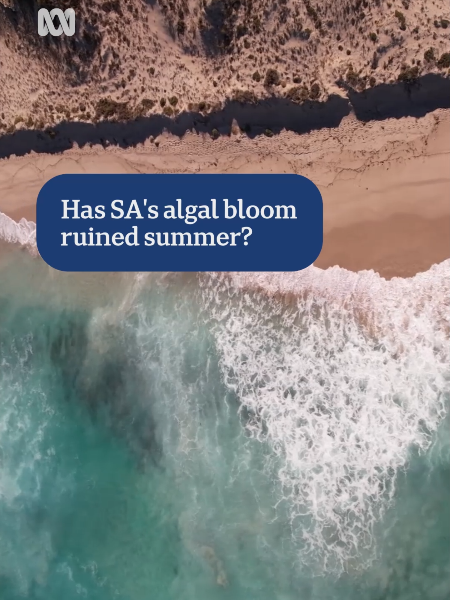 Since at least March of this year, dead fish have been washing up on the shores of South Australian beaches. It’s due to a toxic algal bloom that has spread through more than 30% of the state’s coastline and has devastated marine life. BTN's Cale Matthews takes a look at what is being done to fix the issue and whether you can go swimming this summer. To personalise your news & stay in the know, download the ABC News app via the link our bio. #ABCNews #Beach