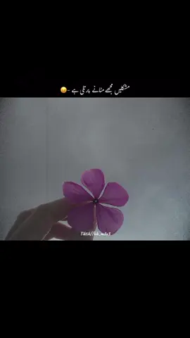 #duet #capcut #ppppppppppppppppppppp #viraltiktok #Viral 