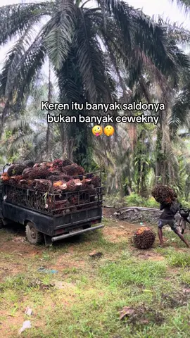 🤩#foryou #xcyzba #sawittiktok #petanimuda #fypシ゚viral🖤tiktok 